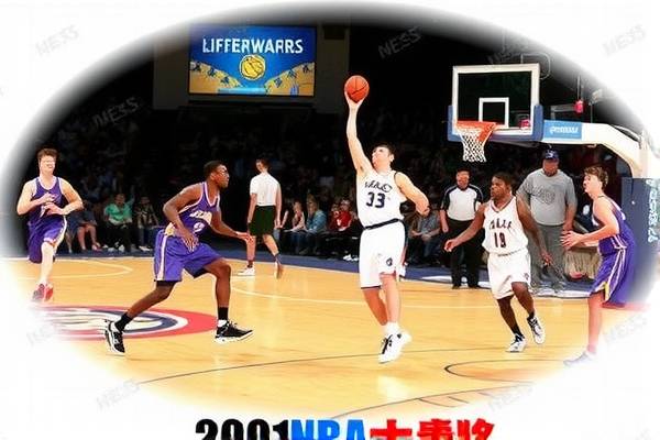 2001nba扣篮录像,2001nba扣篮大赛