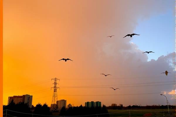 nba2kol录像本地文件,nba2kol录像怎么导出